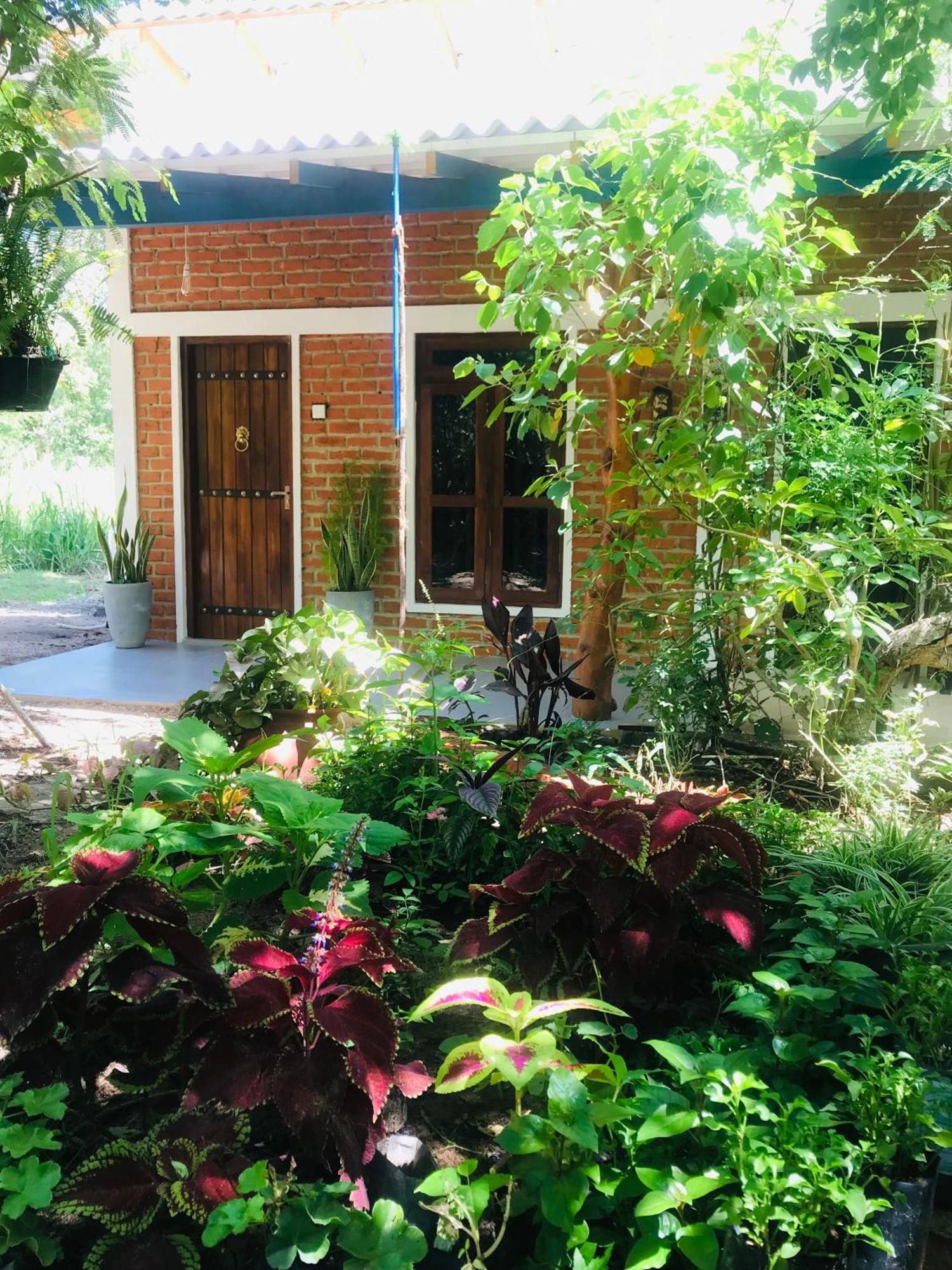 The Wild Culture Hotel Sigiriya Exterior photo